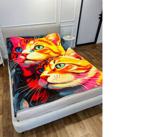 Плед 3D Картина котиків 13452 160х200 см